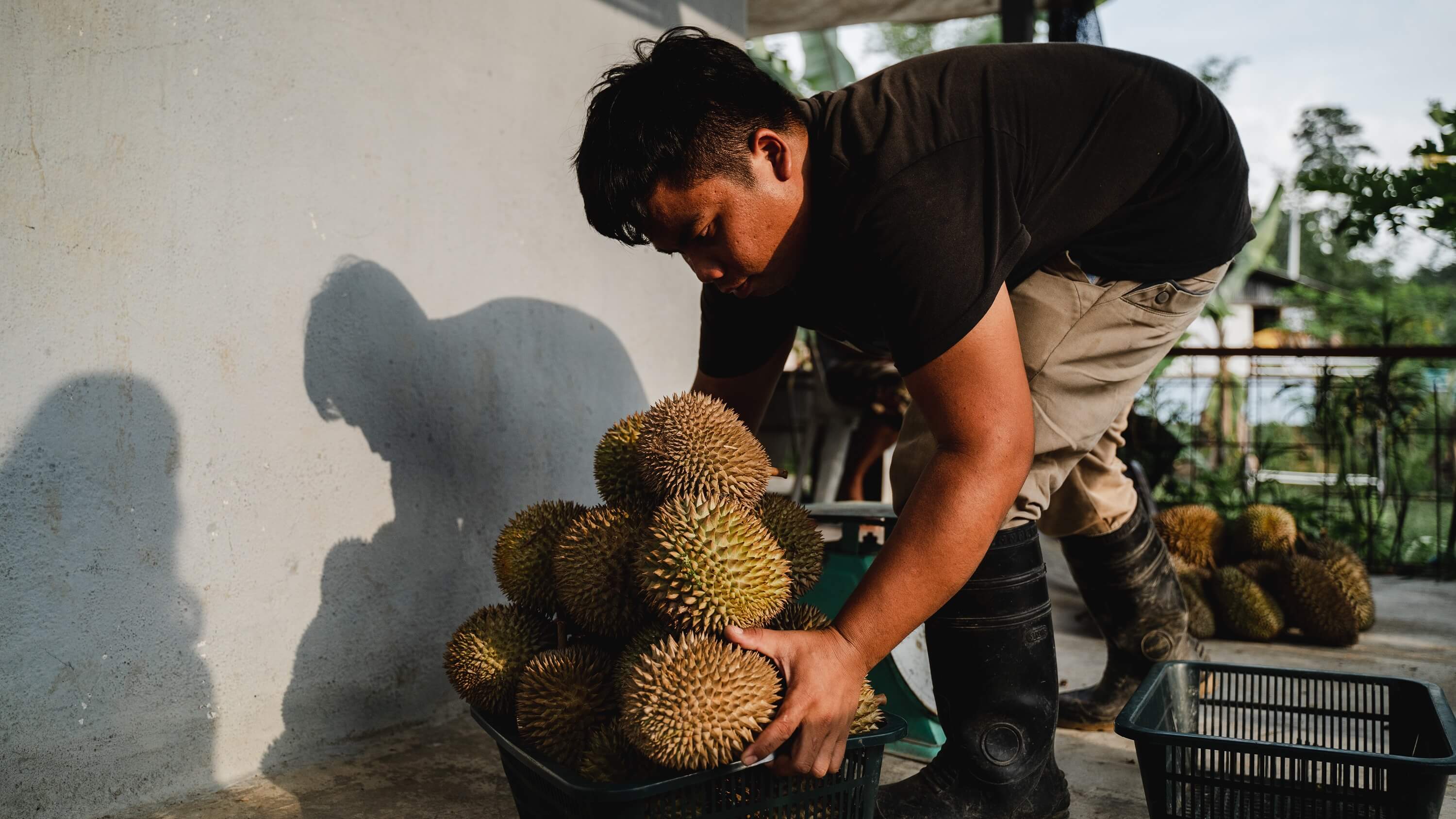 Yee Kuat in Kampung Gurney, a Temuan village in Hulu Selangor, Malaysia. Photo courtesy of Native