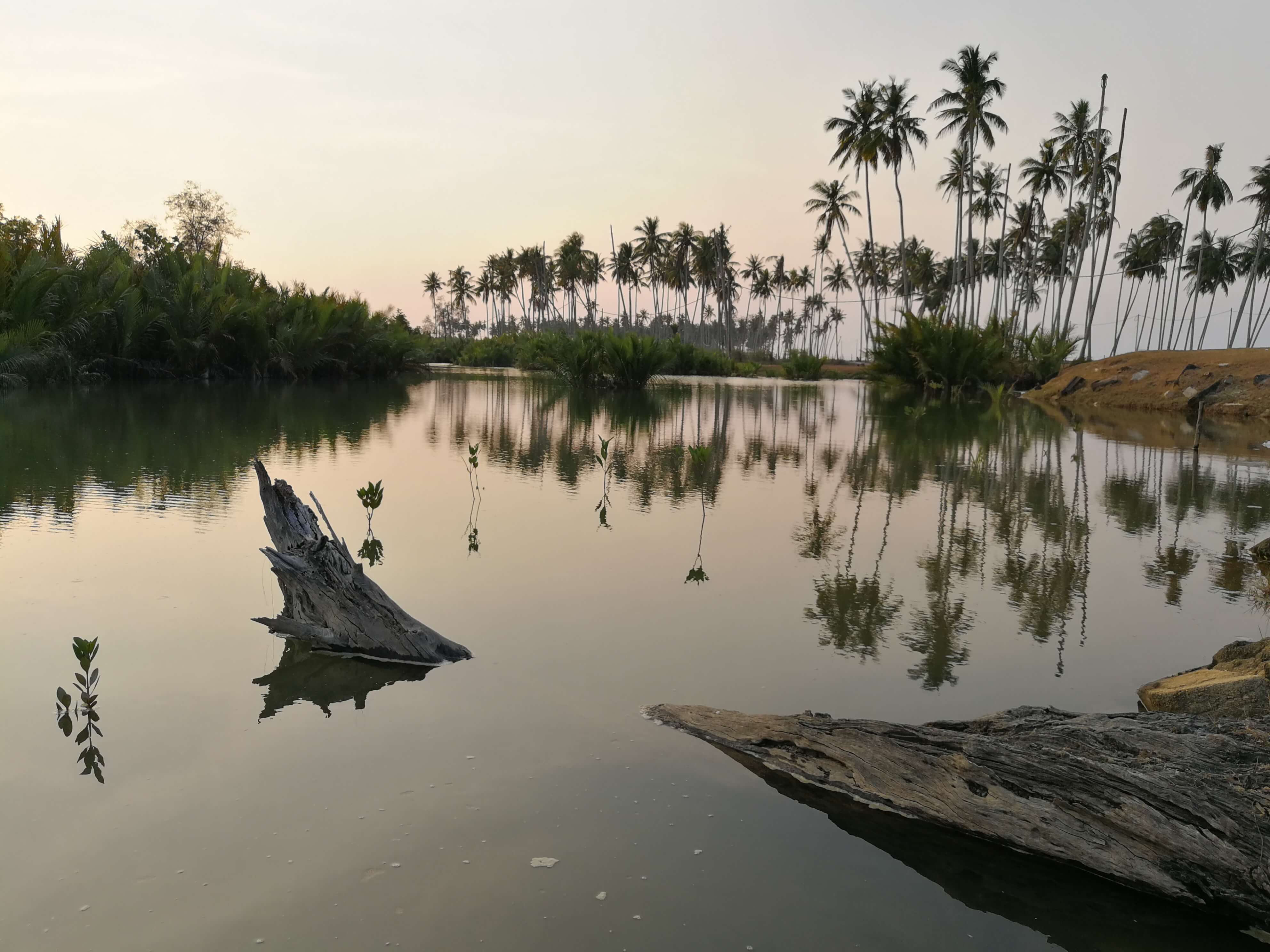 The biodiverse Setiu Wetlands are more than just a serene setting for Terrapuri; the lush ecosystem protects Malaysia's coastline and provide shelter and nourishment to the people living there. Photo by Alexandra Wong