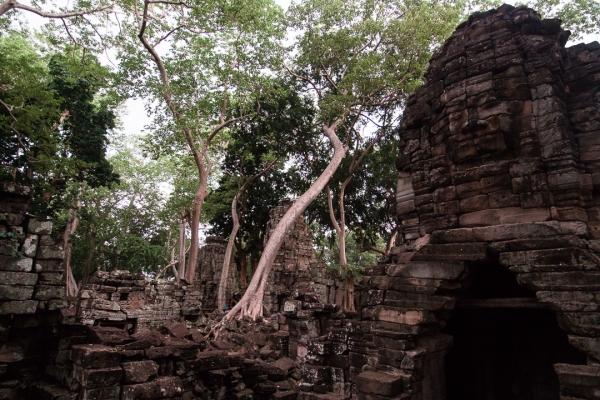 Cambodia